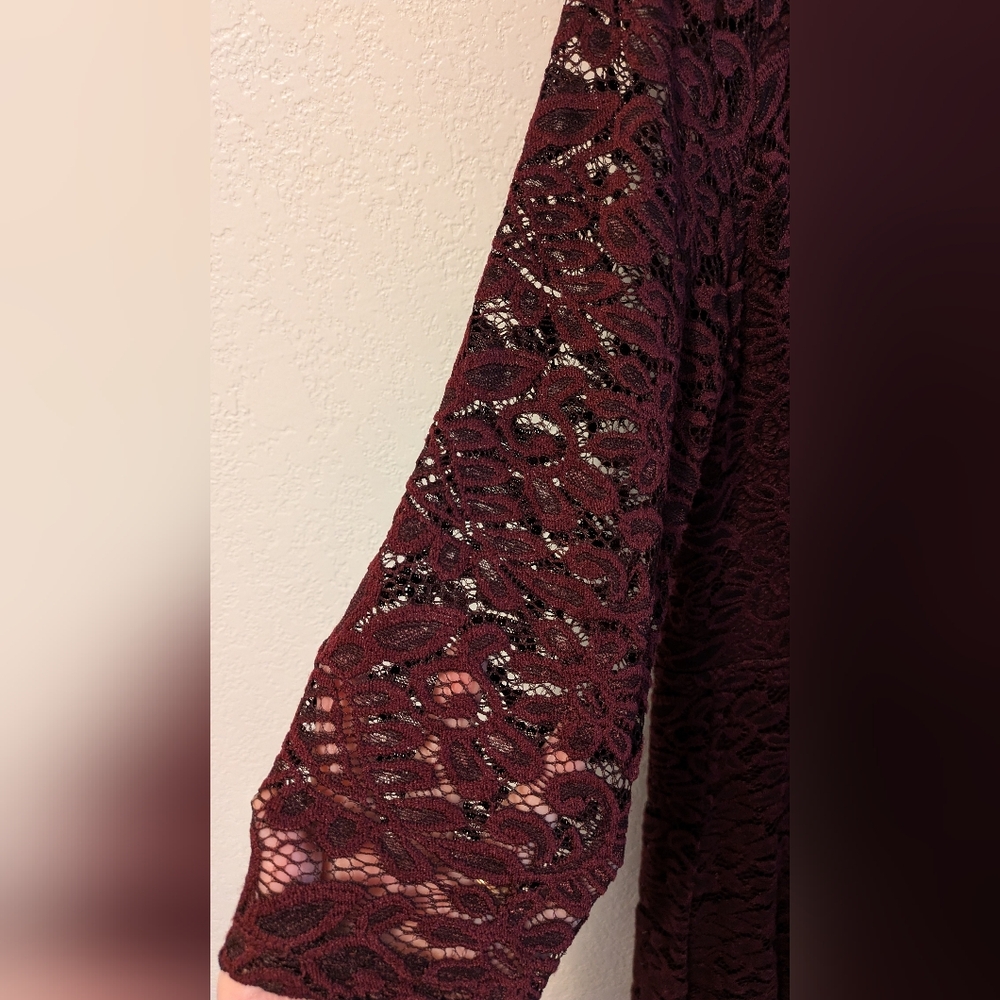 Sandra Darren Elegant Lace Burgundy Dress - Picture 5 of 5